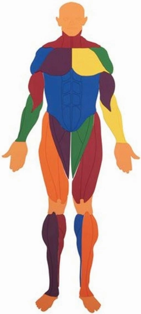 US Games Mr. Muscles Puzzle