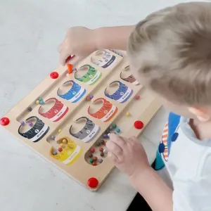 Wooden Color Classification Maze/3Y 