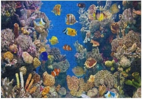 ZHONGJI Jigsaw Puzzle Different Colorful Fishes Blue Educational Intellectual Decompressing Fun Game Artwork Fit Together Perfectly Adults Teens Kids 1000PCS
