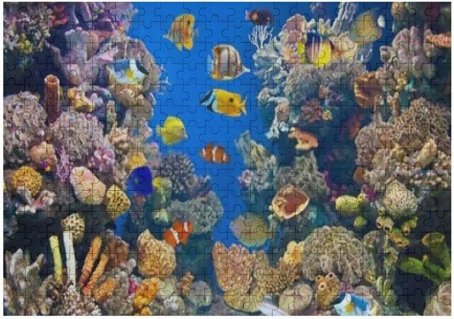 ZHONGJI Jigsaw Puzzle Different Colorful Fishes Blue Educational Intellectual Decompressing Fun Game Artwork Fit Together Perfectly Adults Teens Kids 500PCS