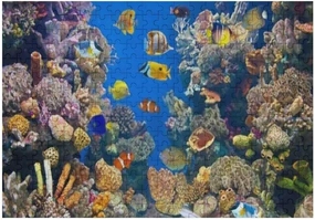 ZHONGJI Jigsaw Puzzle Different Colorful Fishes Blue Educational Intellectual Decompressing Fun Game Artwork Fit Together Perfectly Adults Teens Kids 500PCS